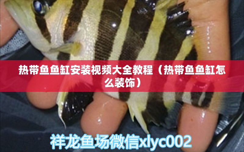 熱帶魚(yú)魚(yú)缸安裝視頻大全教程（熱帶魚(yú)魚(yú)缸怎么裝飾）