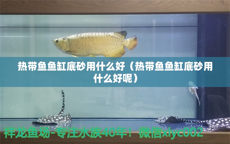 熱帶魚魚缸底砂用什么好（熱帶魚魚缸底砂用什么好呢） 祥龍水族醫(yī)院