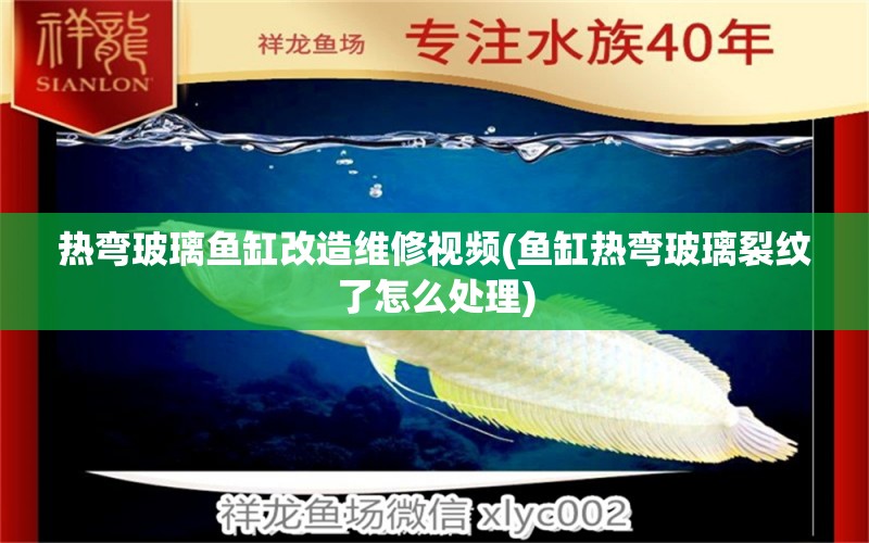 熱彎玻璃魚(yú)缸改造維修視頻(魚(yú)缸熱彎玻璃裂紋了怎么處理)