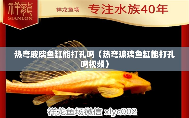 熱彎玻璃魚缸能打孔嗎（熱彎玻璃魚缸能打孔嗎視頻）