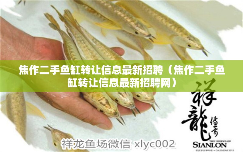 焦作二手魚缸轉(zhuǎn)讓信息最新招聘（焦作二手魚缸轉(zhuǎn)讓信息最新招聘網(wǎng)）