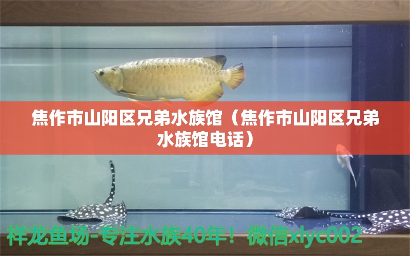 焦作市山陽區(qū)兄弟水族館（焦作市山陽區(qū)兄弟水族館電話）