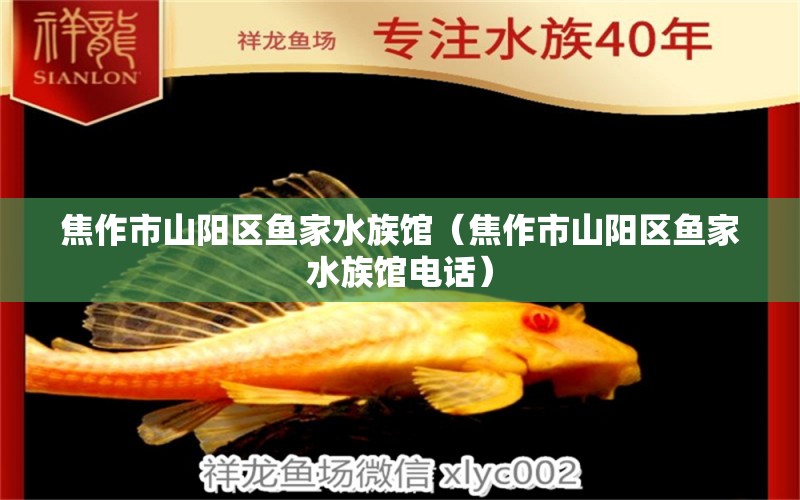 焦作市山陽區(qū)魚家水族館（焦作市山陽區(qū)魚家水族館電話）