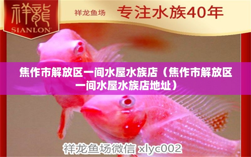 焦作市解放區(qū)一間水屋水族店（焦作市解放區(qū)一間水屋水族店地址）