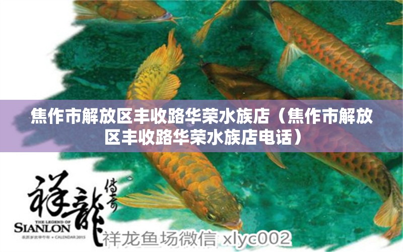 焦作市解放區(qū)豐收路華榮水族店（焦作市解放區(qū)豐收路華榮水族店電話）