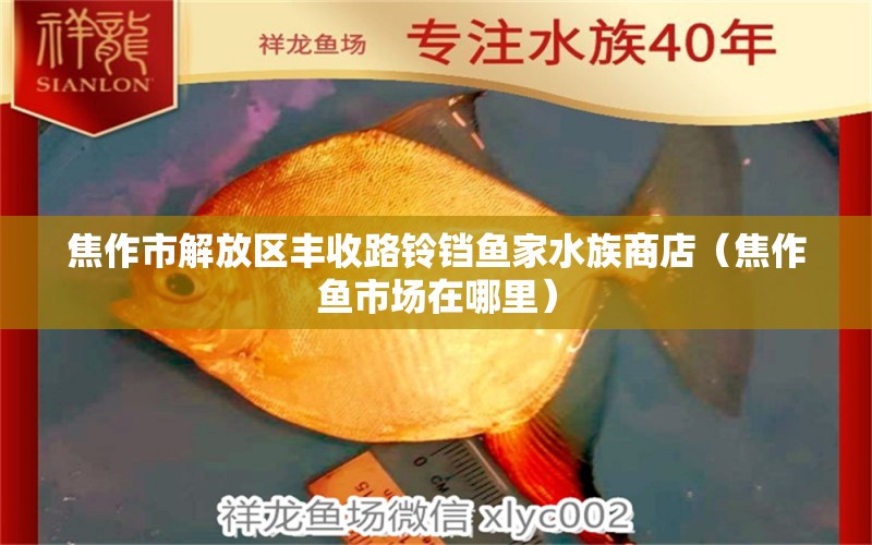 焦作市解放區(qū)豐收路鈴鐺魚家水族商店（焦作魚市場在哪里）