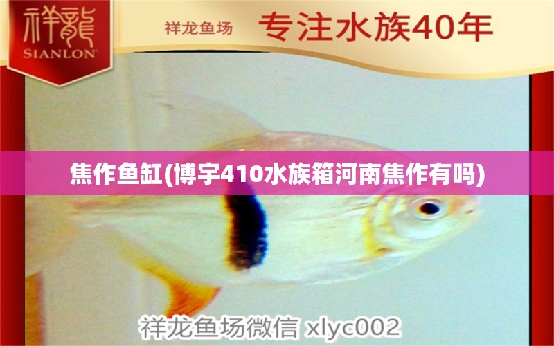 焦作魚缸(博宇410水族箱河南焦作有嗎) 魚缸/水族箱