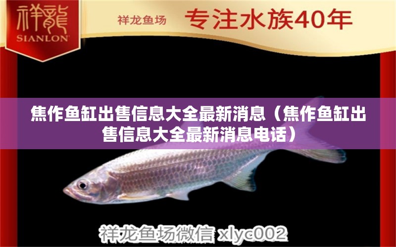 焦作魚缸出售信息大全最新消息（焦作魚缸出售信息大全最新消息電話）