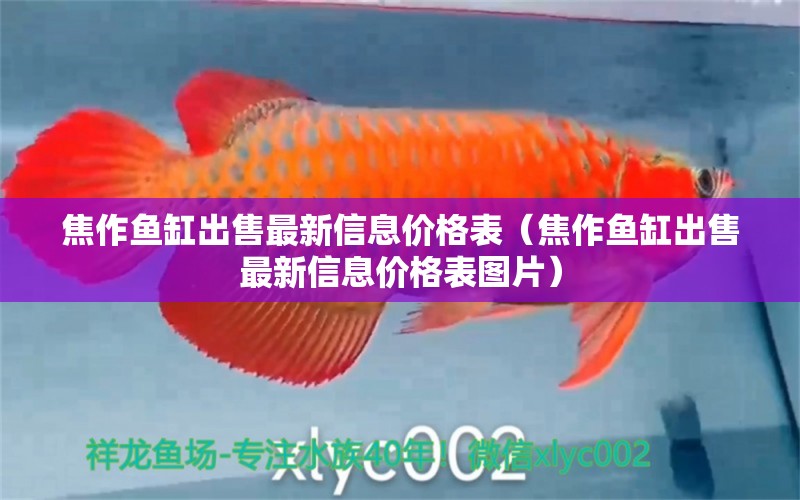 焦作魚缸出售最新信息價格表（焦作魚缸出售最新信息價格表圖片）