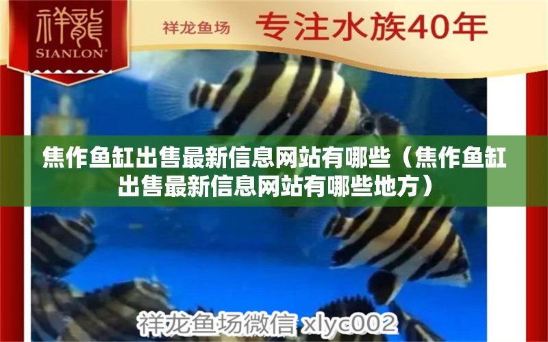 焦作魚缸出售最新信息網(wǎng)站有哪些（焦作魚缸出售最新信息網(wǎng)站有哪些地方）