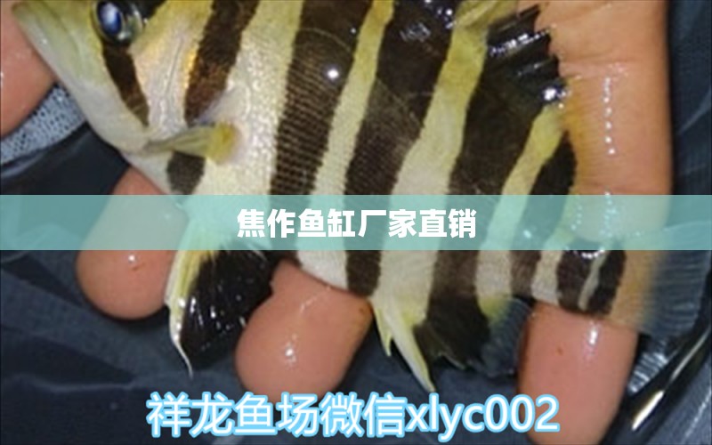 焦作魚缸廠家直銷