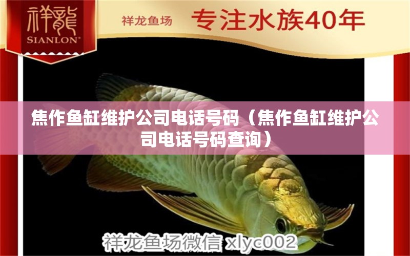 焦作魚缸維護(hù)公司電話號碼（焦作魚缸維護(hù)公司電話號碼查詢）