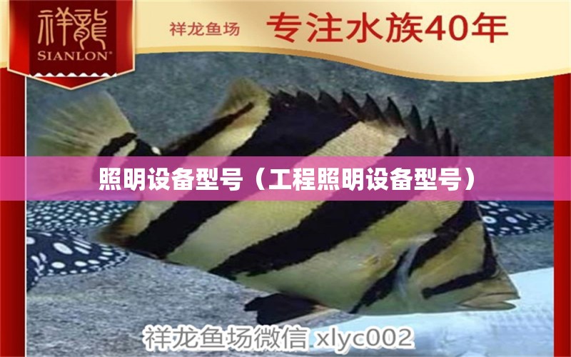 照明設(shè)備型號(hào)（工程照明設(shè)備型號(hào)） 觀賞魚(yú)市場(chǎng)（混養(yǎng)魚(yú)）