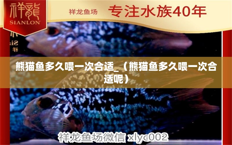 熊貓魚多久喂一次合適_（熊貓魚多久喂一次合適呢） 龍魚疾病與治療 第1張