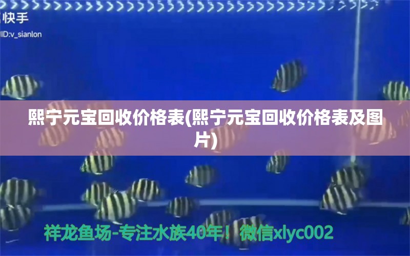 熙寧元寶回收價格表(熙寧元寶回收價格表及圖片) 薩伊藍魚