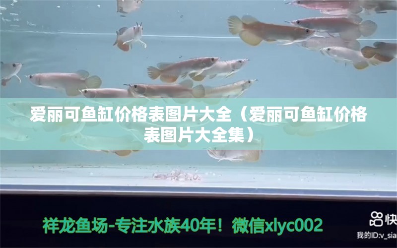 愛麗可魚缸價格表圖片大全（愛麗可魚缸價格表圖片大全集）