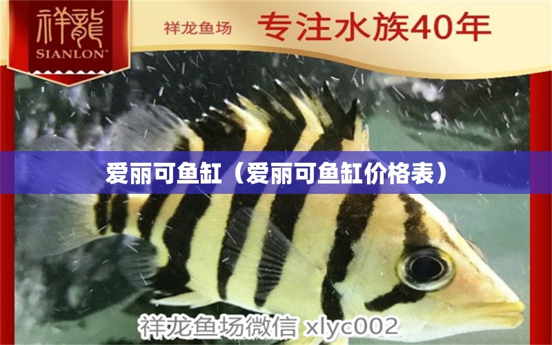 愛麗可魚缸（愛麗可魚缸價(jià)格表）