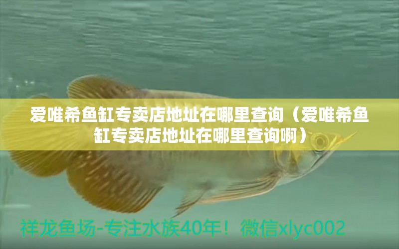 愛唯希魚缸專賣店地址在哪里查詢（愛唯希魚缸專賣店地址在哪里查詢?。?iwish愛唯希品牌魚缸