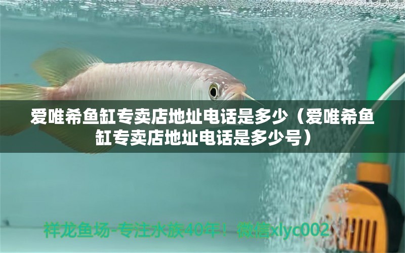 愛唯希魚缸專賣店地址電話是多少（愛唯希魚缸專賣店地址電話是多少號(hào)） iwish愛唯希品牌魚缸