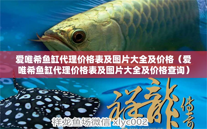 愛唯希魚缸代理價(jià)格表及圖片大全及價(jià)格（愛唯希魚缸代理價(jià)格表及圖片大全及價(jià)格查詢） iwish愛唯希品牌魚缸