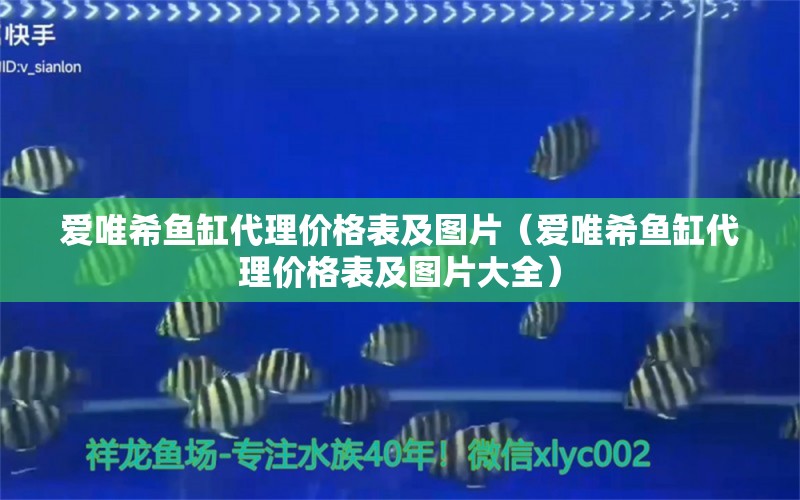 愛唯希魚缸代理價(jià)格表及圖片（愛唯希魚缸代理價(jià)格表及圖片大全）