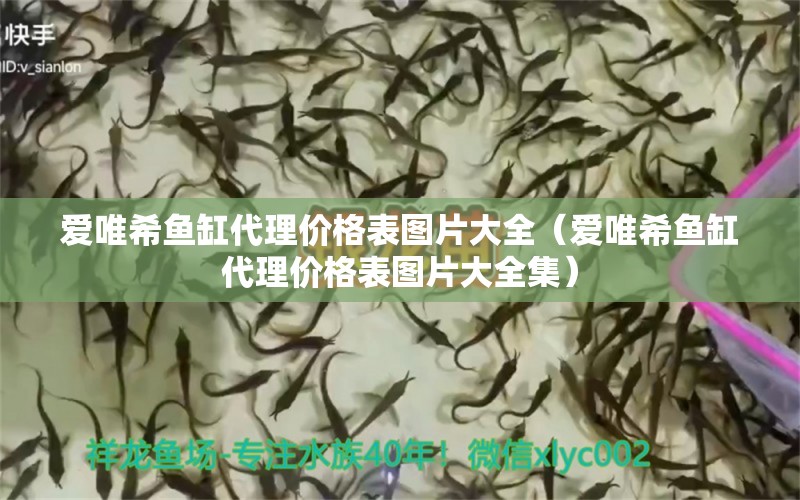 愛唯希魚缸代理價格表圖片大全（愛唯希魚缸代理價格表圖片大全集）