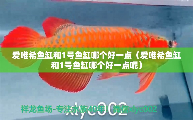 愛(ài)唯希魚(yú)缸和1號(hào)魚(yú)缸哪個(gè)好一點(diǎn)（愛(ài)唯希魚(yú)缸和1號(hào)魚(yú)缸哪個(gè)好一點(diǎn)呢） iwish愛(ài)唯希品牌魚(yú)缸