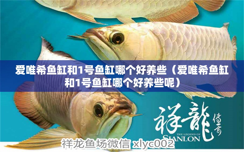 愛(ài)唯希魚(yú)缸和1號(hào)魚(yú)缸哪個(gè)好養(yǎng)些（愛(ài)唯希魚(yú)缸和1號(hào)魚(yú)缸哪個(gè)好養(yǎng)些呢）