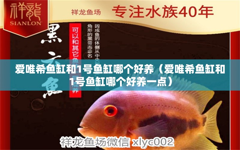 愛(ài)唯希魚(yú)缸和1號(hào)魚(yú)缸哪個(gè)好養(yǎng)（愛(ài)唯希魚(yú)缸和1號(hào)魚(yú)缸哪個(gè)好養(yǎng)一點(diǎn)）