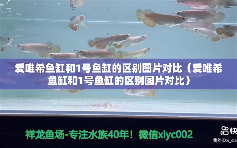 愛(ài)唯希魚(yú)缸和1號(hào)魚(yú)缸的區(qū)別圖片對(duì)比（愛(ài)唯希魚(yú)缸和1號(hào)魚(yú)缸的區(qū)別圖片對(duì)比）