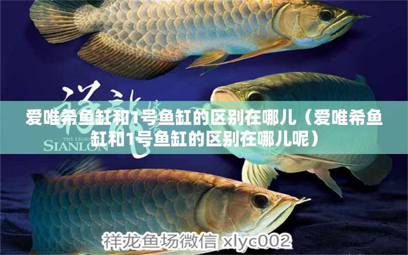 愛(ài)唯希魚(yú)缸和1號(hào)魚(yú)缸的區(qū)別在哪兒（愛(ài)唯希魚(yú)缸和1號(hào)魚(yú)缸的區(qū)別在哪兒呢） iwish愛(ài)唯希品牌魚(yú)缸