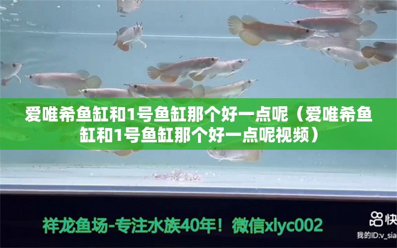 愛(ài)唯希魚(yú)缸和1號(hào)魚(yú)缸那個(gè)好一點(diǎn)呢（愛(ài)唯希魚(yú)缸和1號(hào)魚(yú)缸那個(gè)好一點(diǎn)呢視頻）