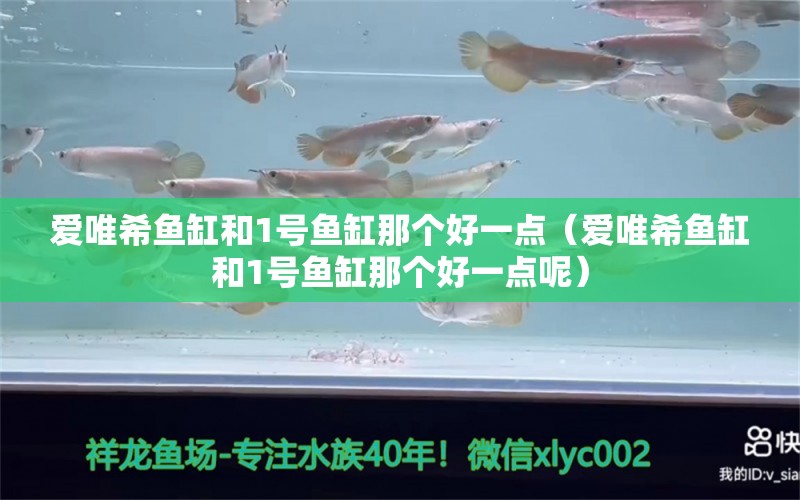 愛(ài)唯希魚(yú)缸和1號(hào)魚(yú)缸那個(gè)好一點(diǎn)（愛(ài)唯希魚(yú)缸和1號(hào)魚(yú)缸那個(gè)好一點(diǎn)呢）