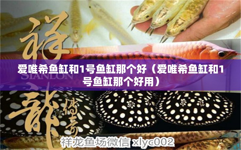 愛(ài)唯希魚(yú)缸和1號(hào)魚(yú)缸那個(gè)好（愛(ài)唯希魚(yú)缸和1號(hào)魚(yú)缸那個(gè)好用）