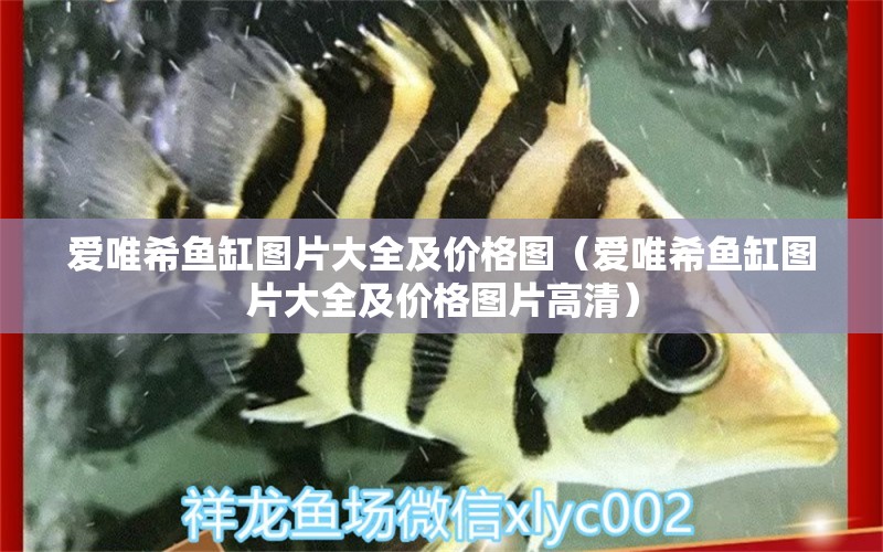 愛唯希魚缸圖片大全及價格圖（愛唯希魚缸圖片大全及價格圖片高清） iwish愛唯希品牌魚缸