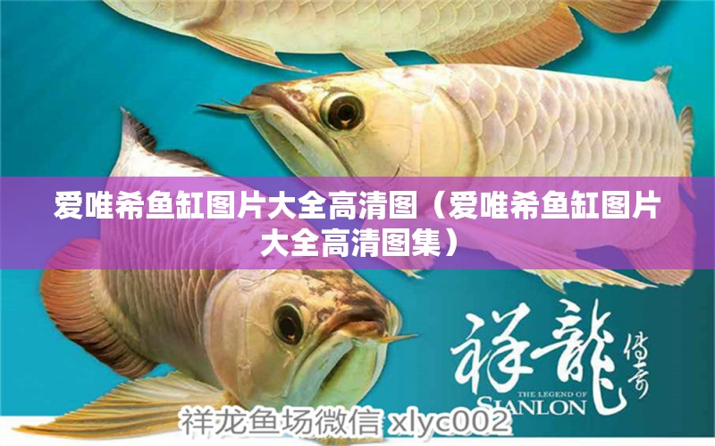 愛唯希魚缸圖片大全高清圖（愛唯希魚缸圖片大全高清圖集） iwish愛唯希品牌魚缸