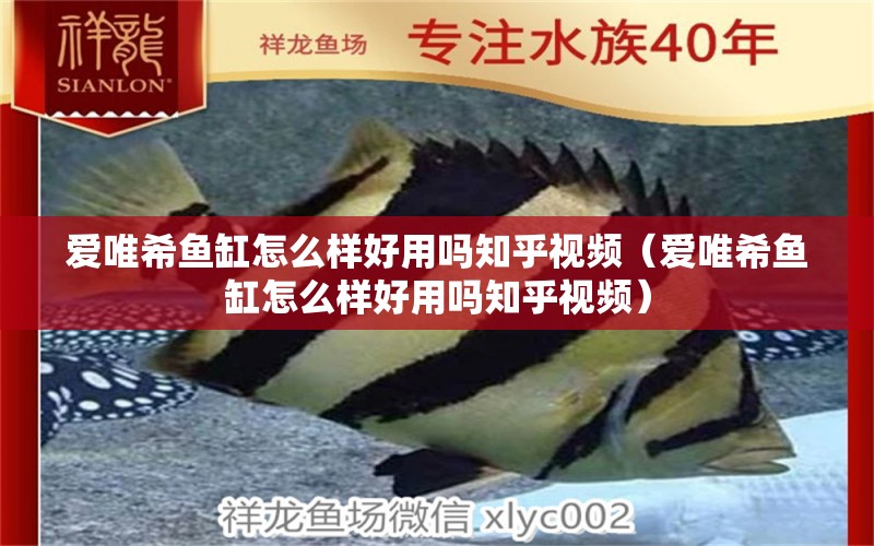 愛唯希魚缸怎么樣好用嗎知乎視頻（愛唯希魚缸怎么樣好用嗎知乎視頻）