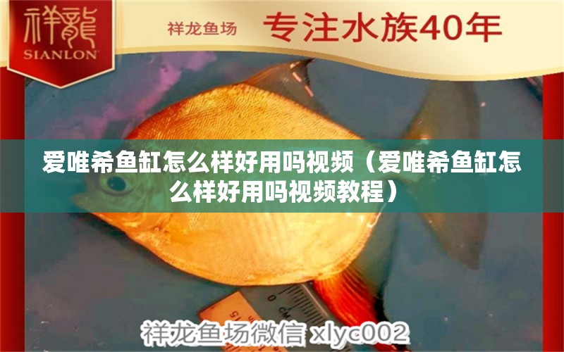 愛唯希魚缸怎么樣好用嗎視頻（愛唯希魚缸怎么樣好用嗎視頻教程）