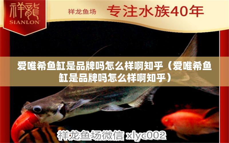 愛唯希魚缸是品牌嗎怎么樣啊知乎（愛唯希魚缸是品牌嗎怎么樣啊知乎） iwish愛唯希品牌魚缸