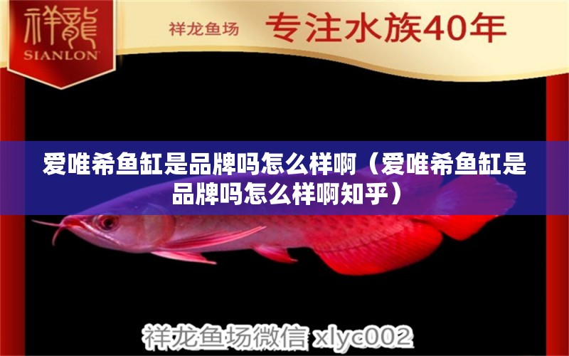 愛唯希魚缸是品牌嗎怎么樣?。◥畚ㄏｔ~缸是品牌嗎怎么樣啊知乎） iwish愛唯希品牌魚缸