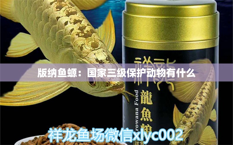 版納魚螈：國(guó)家三級(jí)保護(hù)動(dòng)物有什么 觀賞魚