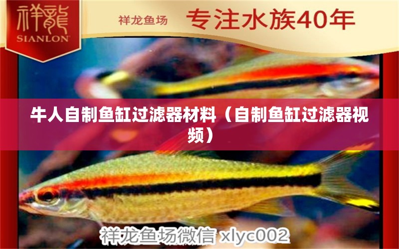 牛人自制魚缸過濾器材料（自制魚缸過濾器視頻） 熱帶魚魚苗批發(fā)