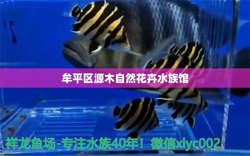 牟平區(qū)源木自然花卉水族館