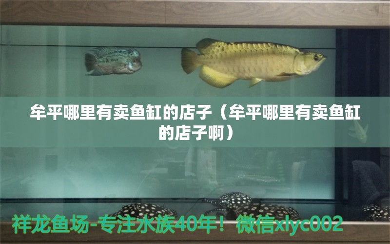 牟平哪里有賣(mài)魚(yú)缸的店子（牟平哪里有賣(mài)魚(yú)缸的店子?。? title=