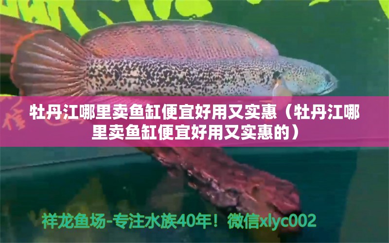 牡丹江哪里賣魚缸便宜好用又實(shí)惠（牡丹江哪里賣魚缸便宜好用又實(shí)惠的）