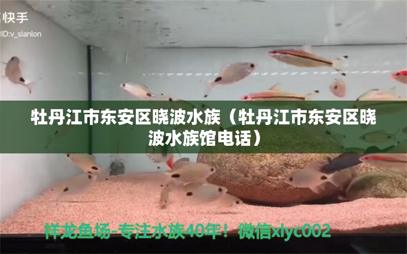 牡丹江市東安區(qū)曉波水族（牡丹江市東安區(qū)曉波水族館電話）