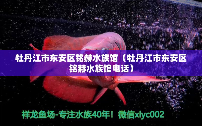 牡丹江市東安區(qū)銘赫水族館（牡丹江市東安區(qū)銘赫水族館電話） 全國水族館企業(yè)名錄