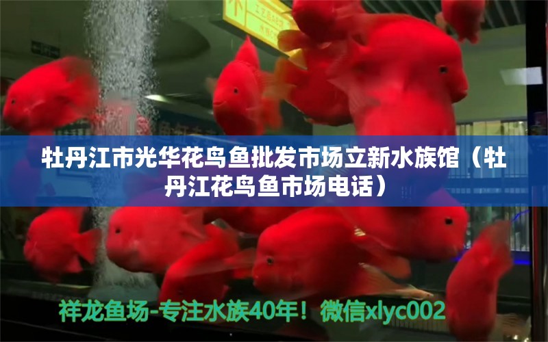 牡丹江市光華花鳥魚批發(fā)市場立新水族館（牡丹江花鳥魚市場電話）