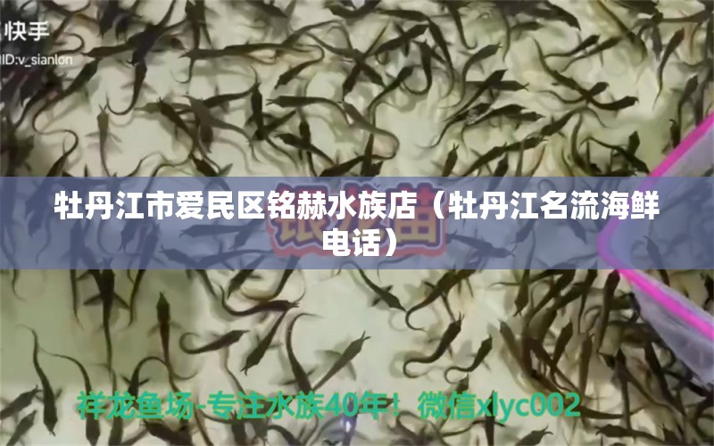 牡丹江市愛民區(qū)銘赫水族店（牡丹江名流海鮮電話） 全國水族館企業(yè)名錄