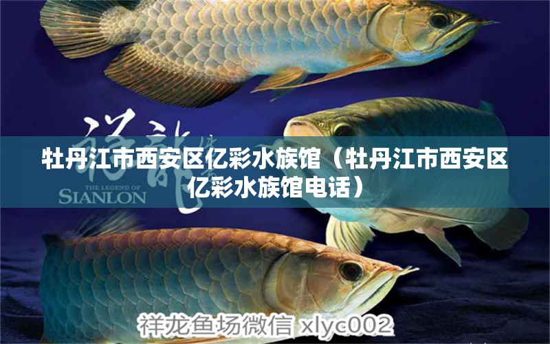 牡丹江市西安區(qū)億彩水族館（牡丹江市西安區(qū)億彩水族館電話） 觀賞魚批發(fā)